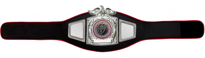 PROEAGLE WRESTLING CHAMPIONSHIP BELT - PROEAGLE/S/WRESTGEMS - 6+ COLOURS